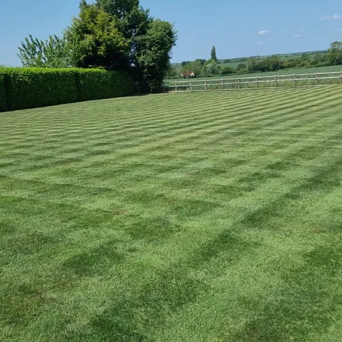Garden & Grounds Maintenance project by Eden Care Grounds Maintenance Ltd in East London