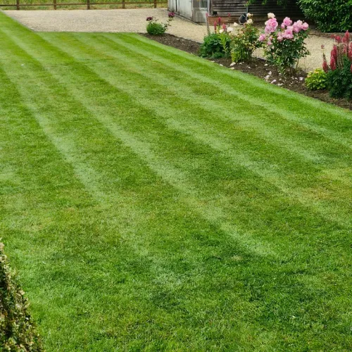 Garden & Grounds Maintenance project by Eden Care Grounds Maintenance Ltd in East London